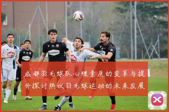 成都羽毛球队心理素质的变革与提升探讨热议羽毛球运动的未来发展