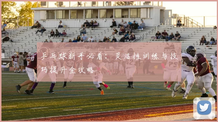 乒乓球新手必看：灵活性训练与技巧提升全攻略